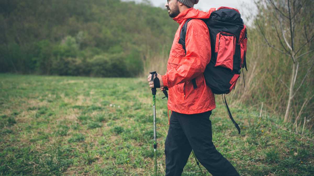 Escursioni nel Bosco Selva di Alberobello: sentieri e natura